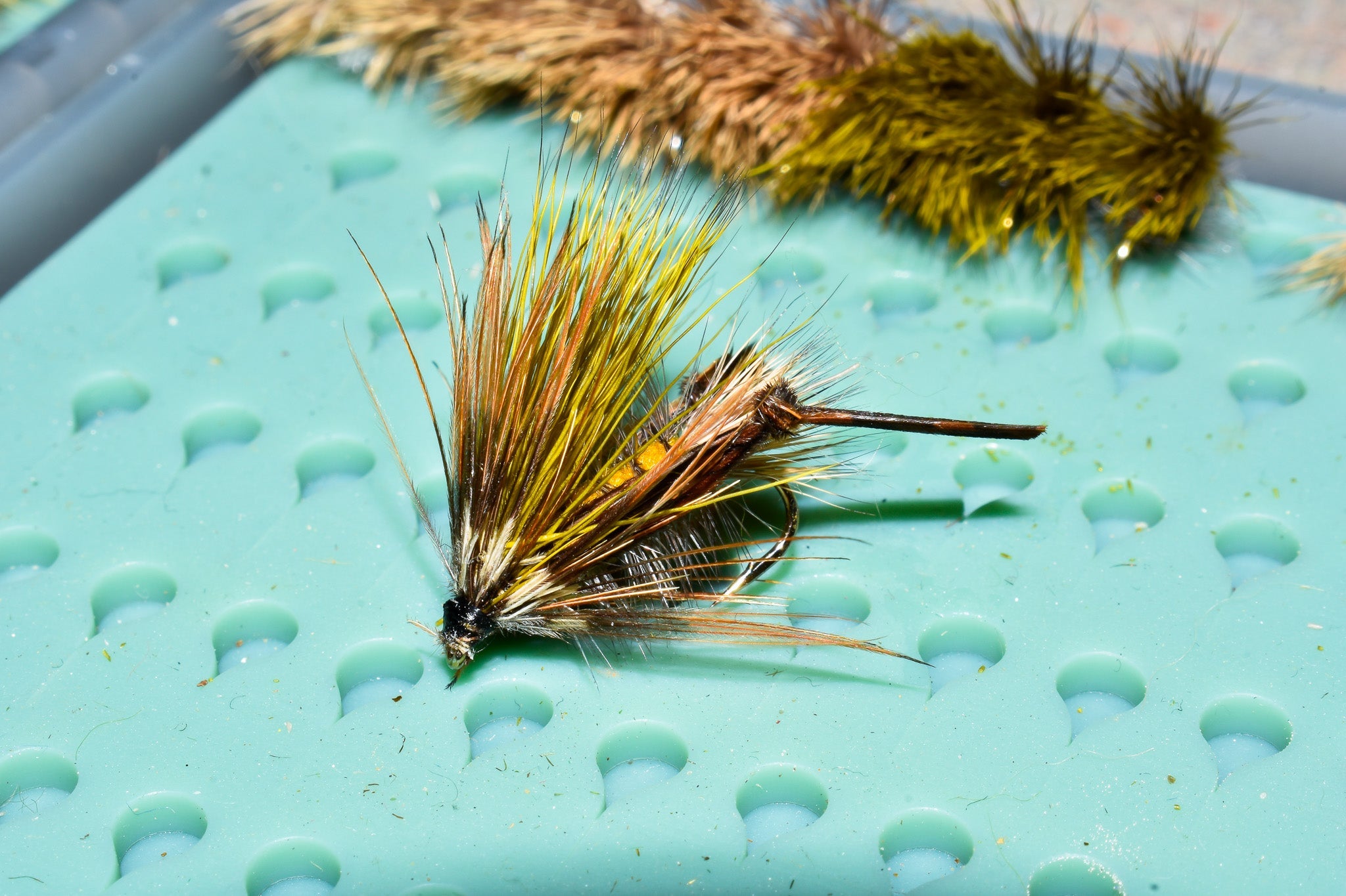 Flies