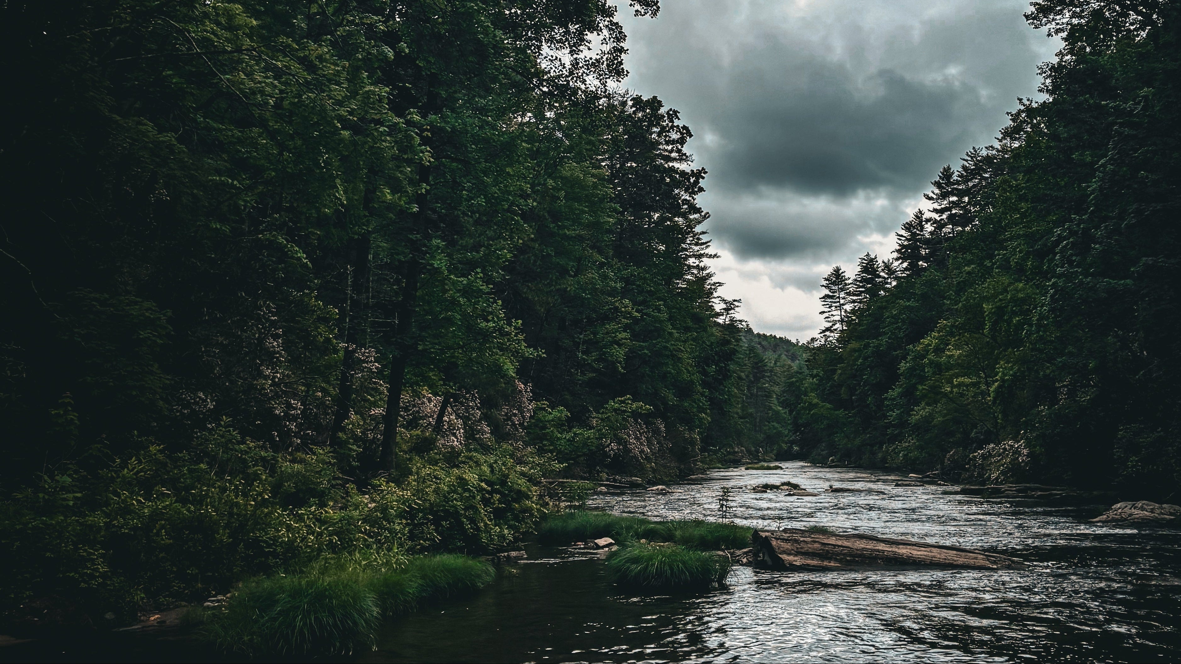 River flowing through a forest with dark, cloudy sky